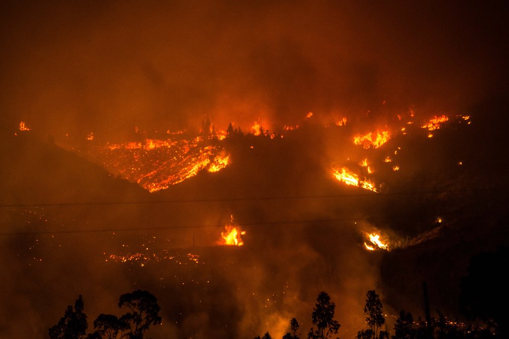 Худший лесной пожар в истории Чили и влияние на цену распушенной целлюлозы