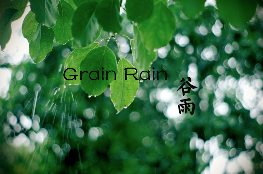 Culture Insider: пять вещей, которые вы могли не знать о Grain Rain